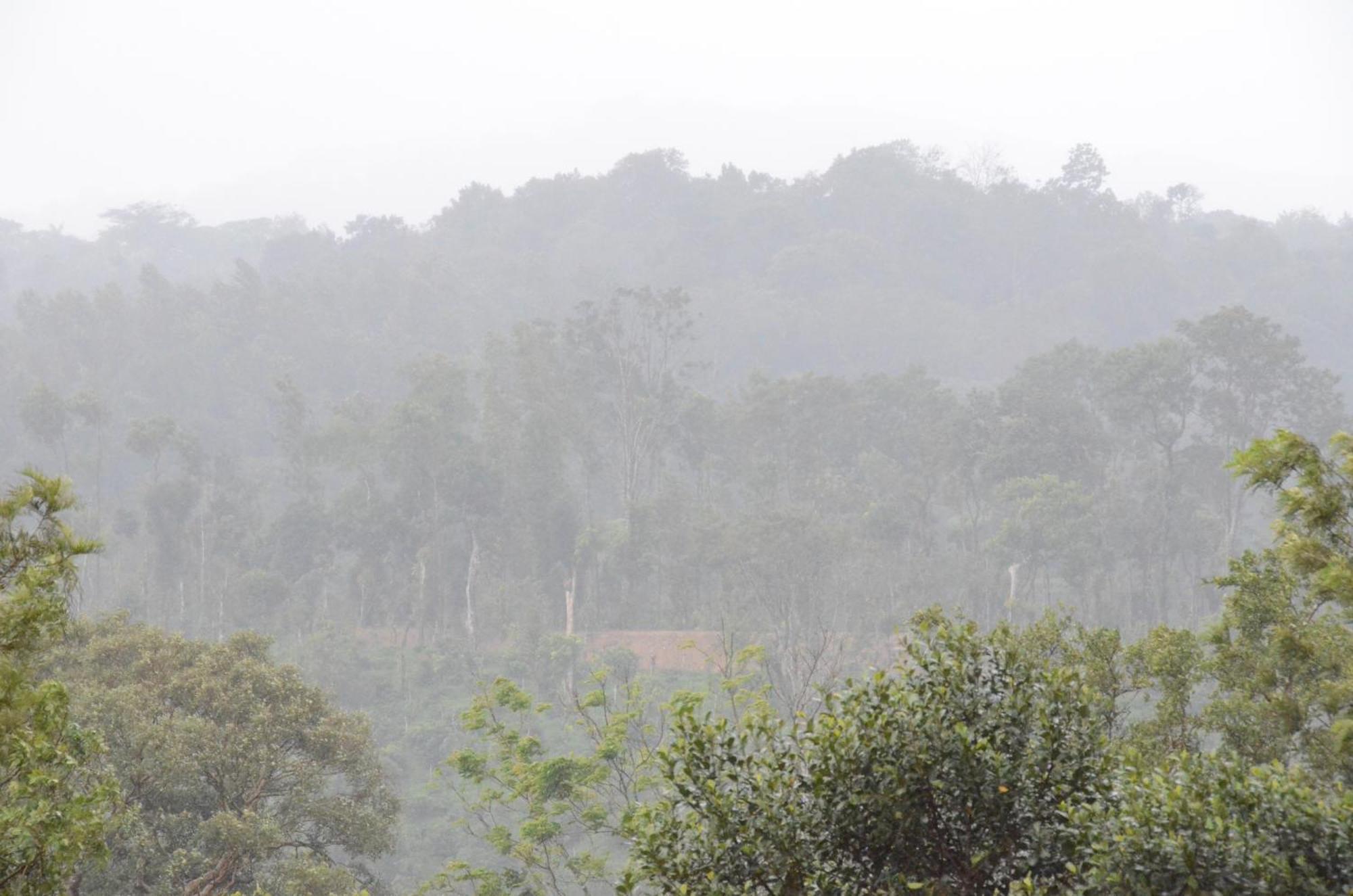 Ibbanicadu Estate Homestay Madikeri Exterior photo